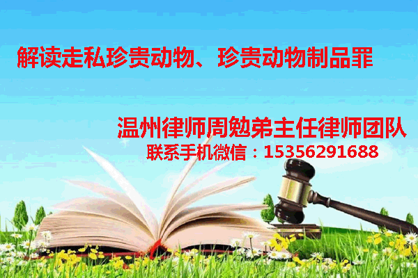 温州市瓯海区律师
