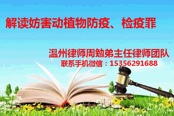 温州市瓯海区律师