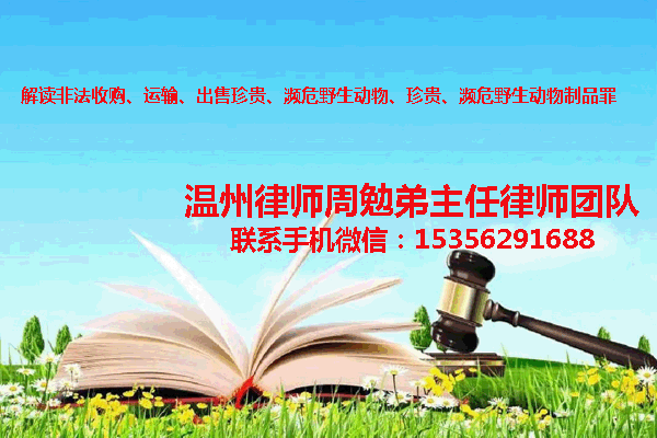 温州市瓯海区律师