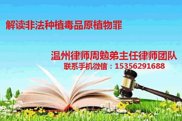 温州市瓯海区律师