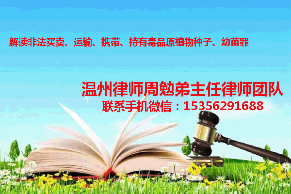 温州市瓯海区律师