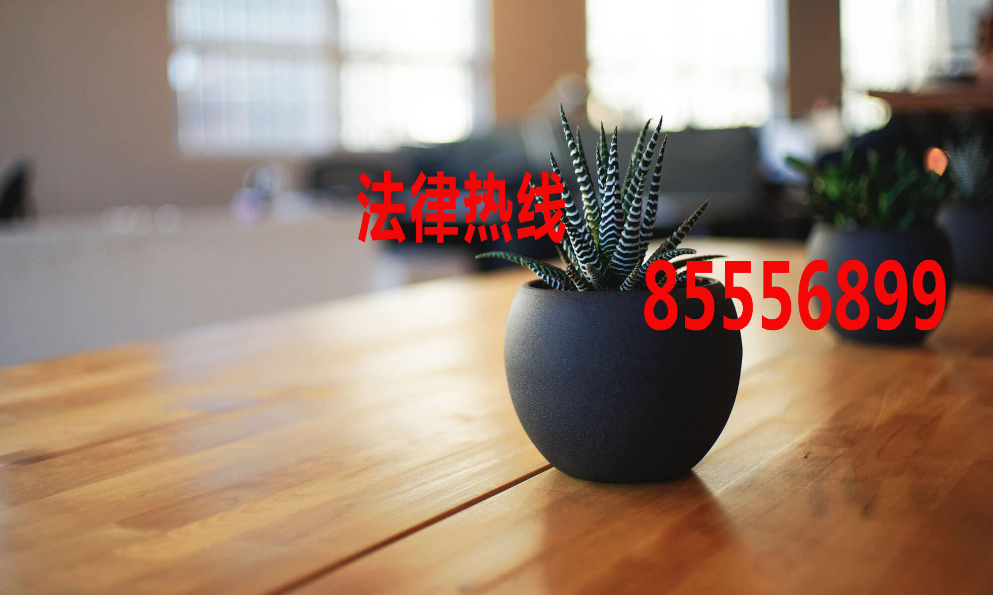 上海律师15356291688_上海市律师